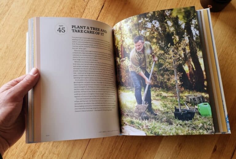 Inside spread for habit 45, plant a tree and take care of it