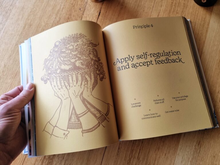 Inside spread for Principle 4, apply self-regulation and accept feedback
