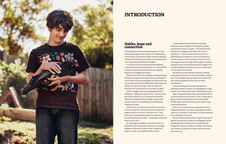 Introduction spread, habits, hope and connection