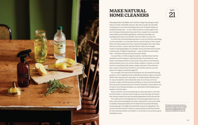 Inside spread for habit 21, make natural home cleaners