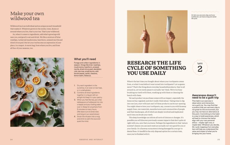 Inside spread for habit 2, make your own wildwood tea