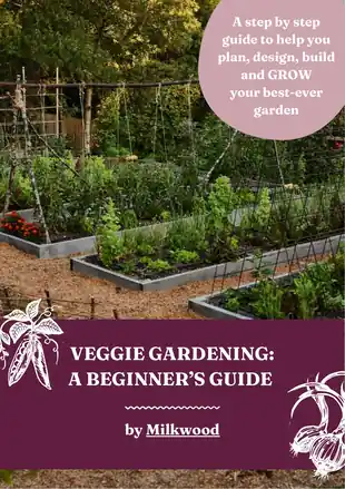 Veggie Gardening: A Beginner's Guide by Milkwood - front cover