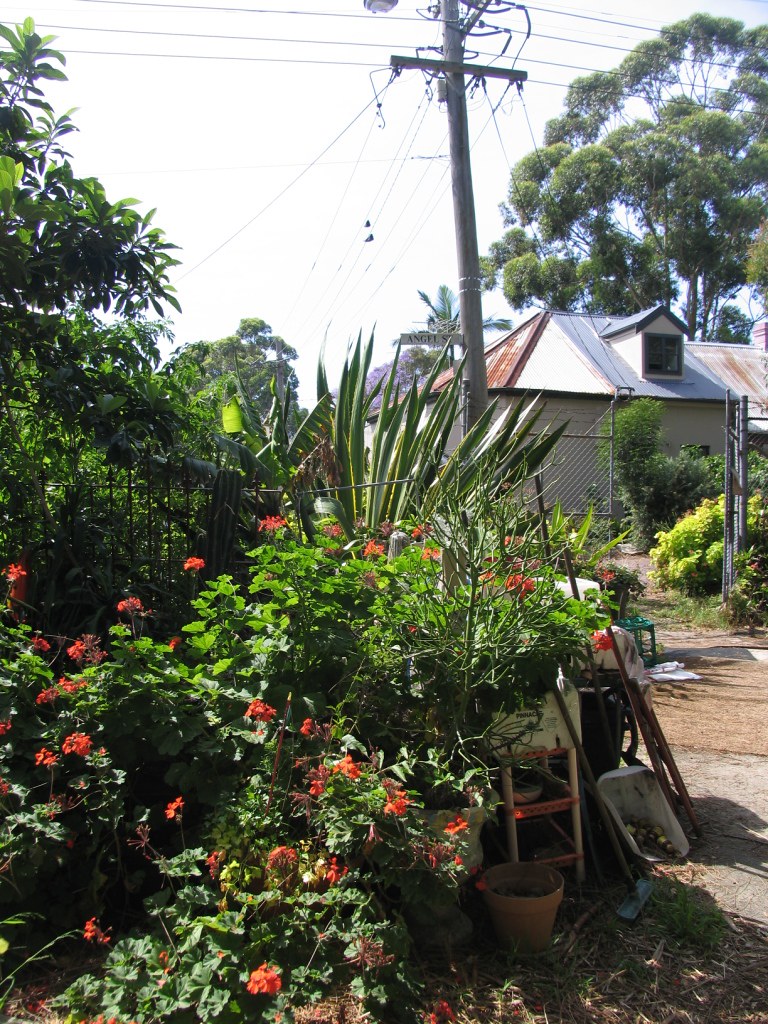 entrance to Angel St garden