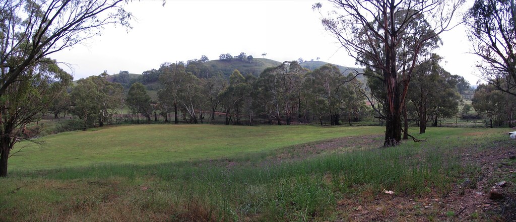pano north