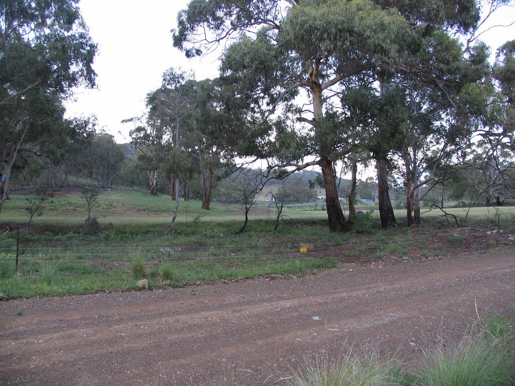 bridge site