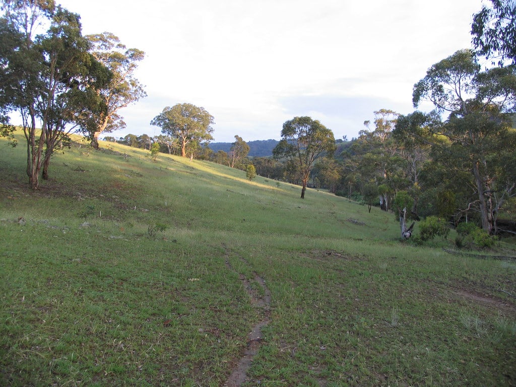 swale looking north