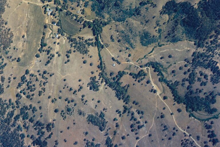 Aerial photo of the Kirwin property showing paddocks and scattered trees