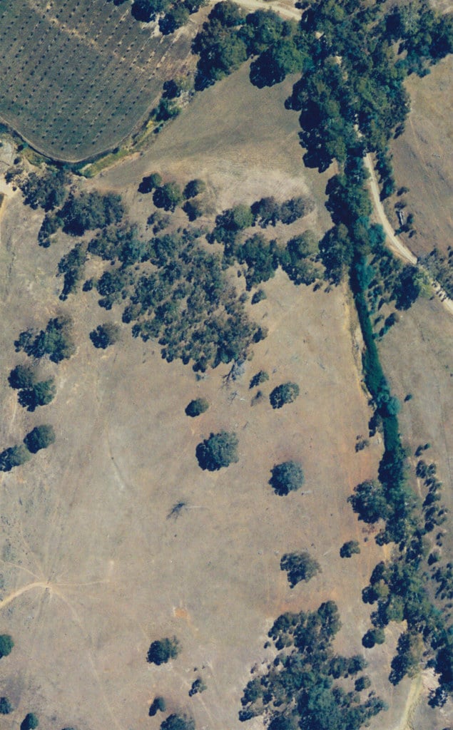 aerial photo of milkwood