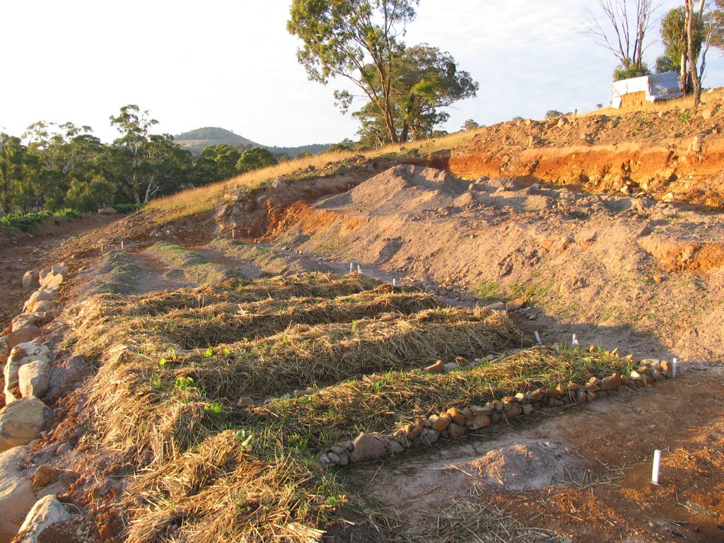 Our new vegie beds