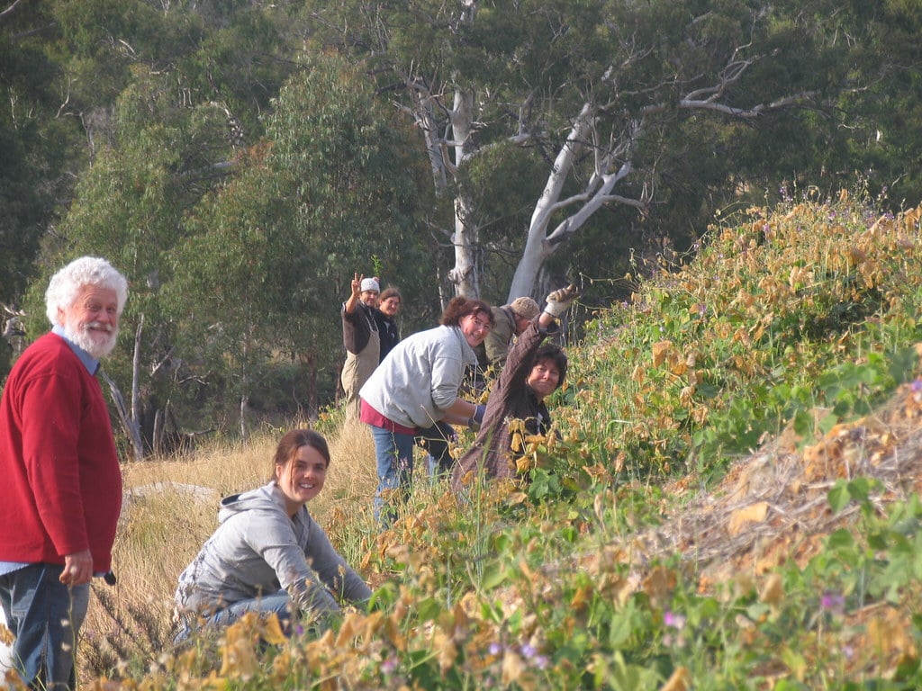 students planting trees on the swale