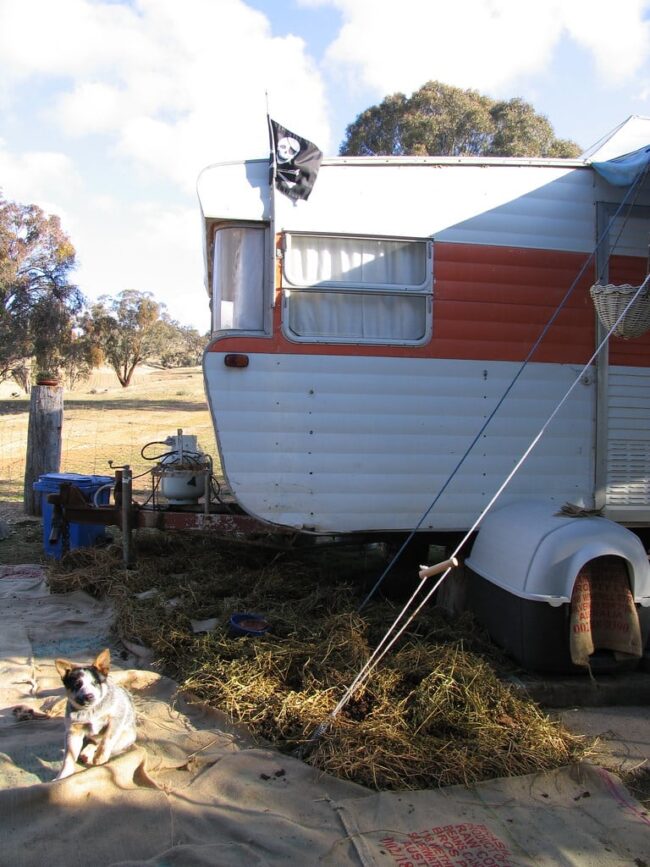 New herb garden beside a caravan, with a dog in the foreground