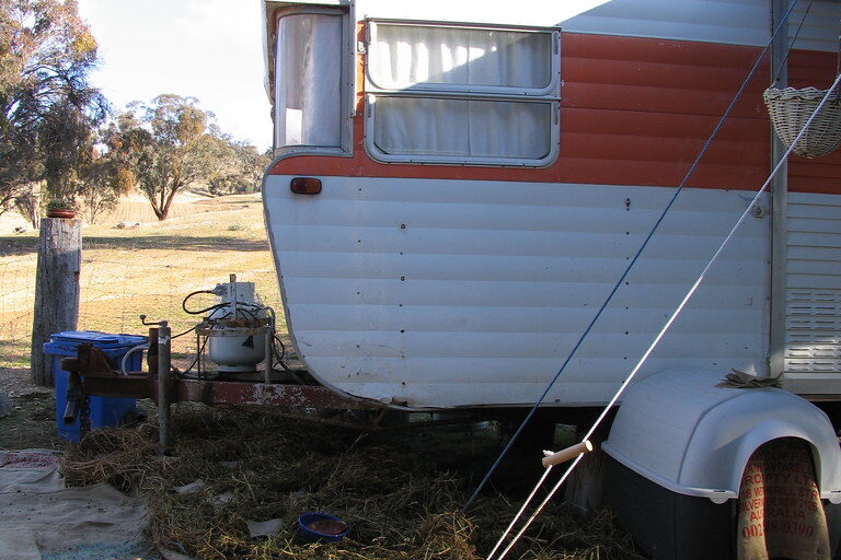 New herb garden beside a caravan, with a dog in the foreground