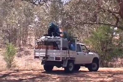 Milkwood: Arrival (video still) A loaded ute parked among dry gum trees on arrival at Milkwood