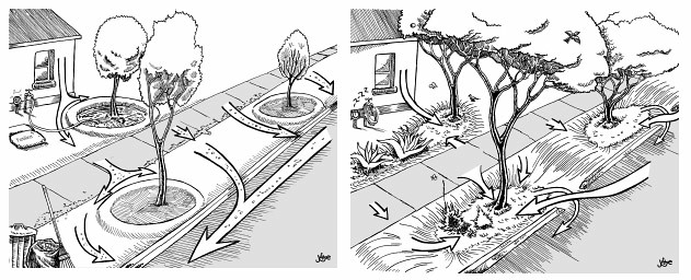 water harvesting