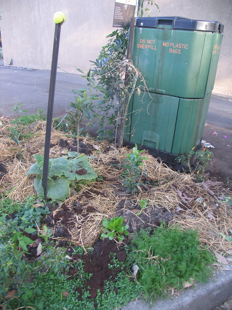Roadside planting beside a green community compost bin on Myrtle St