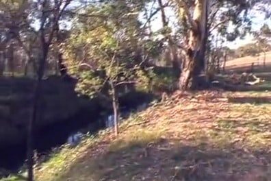 Video diary: Settling in (video still) A creek bank lined with trees and long grass at Milkwood