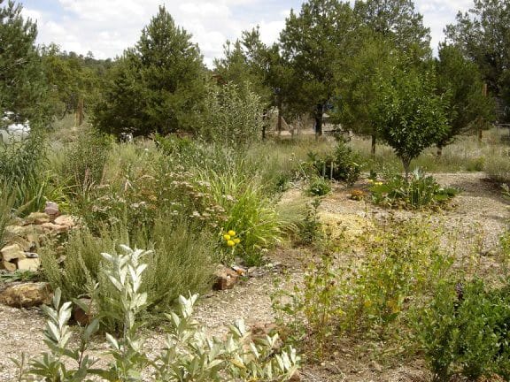 polyculture