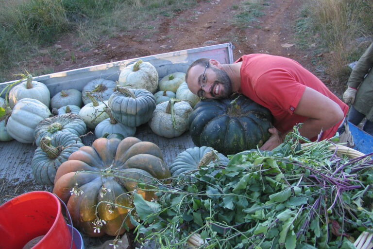 rob avis and pumpkin friends Rob Avis resting on a pile of pumpkins with autumn harvest greens