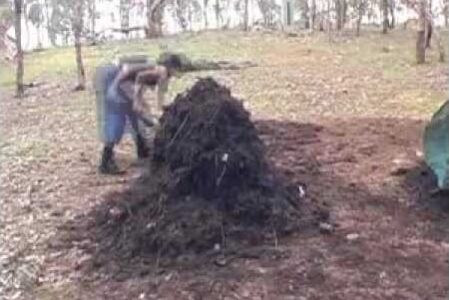 Building a compost heap with a fork in a gum-tree paddock