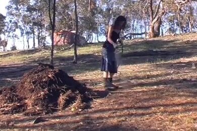 Turning a compost pile with a fork in a gum-tree paddock