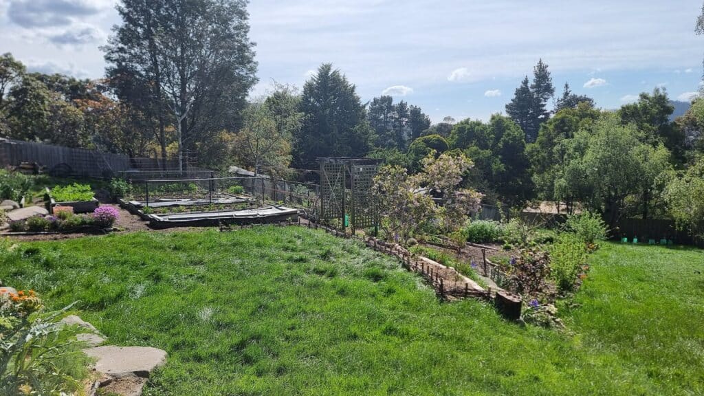 Our sloping backyard lawn in spring, with veggie terraces and fruit trees beyond