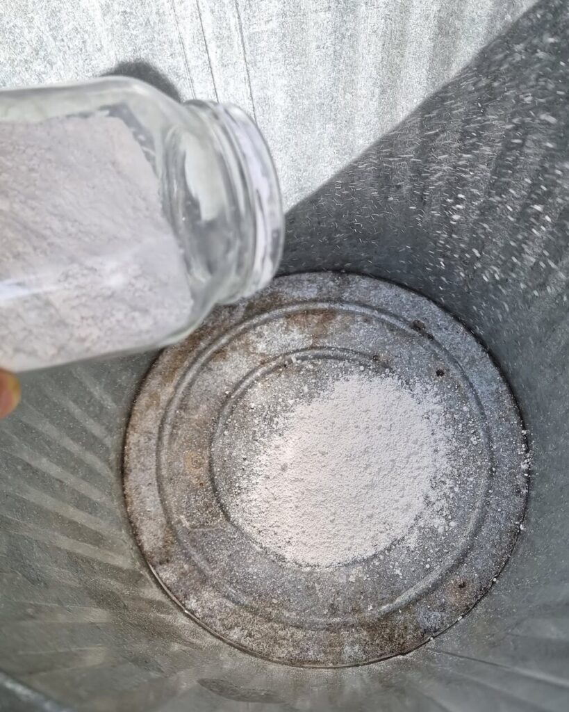 Tipping hydrated lime from a jar into an empty galvanised bin
