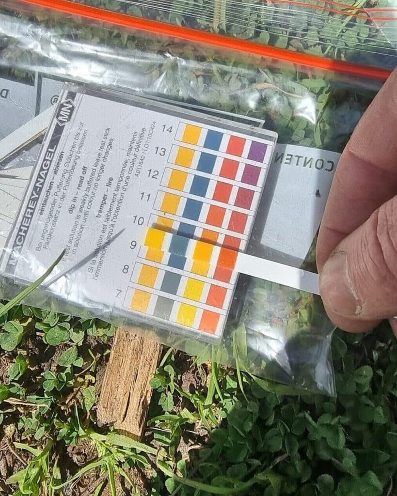 A pH test strip held against its colour chart