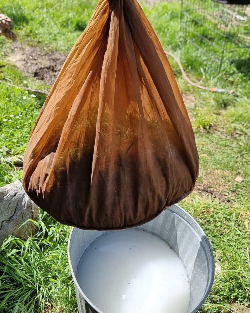 A cloth bag of grass and sawdust held above a bin of milky lime water