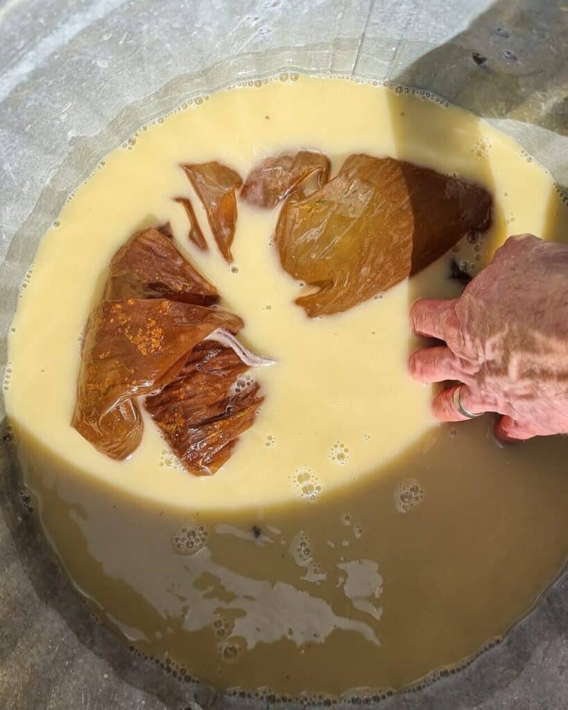 The lime bath turned deep yellow, with the cloth bag submerged
