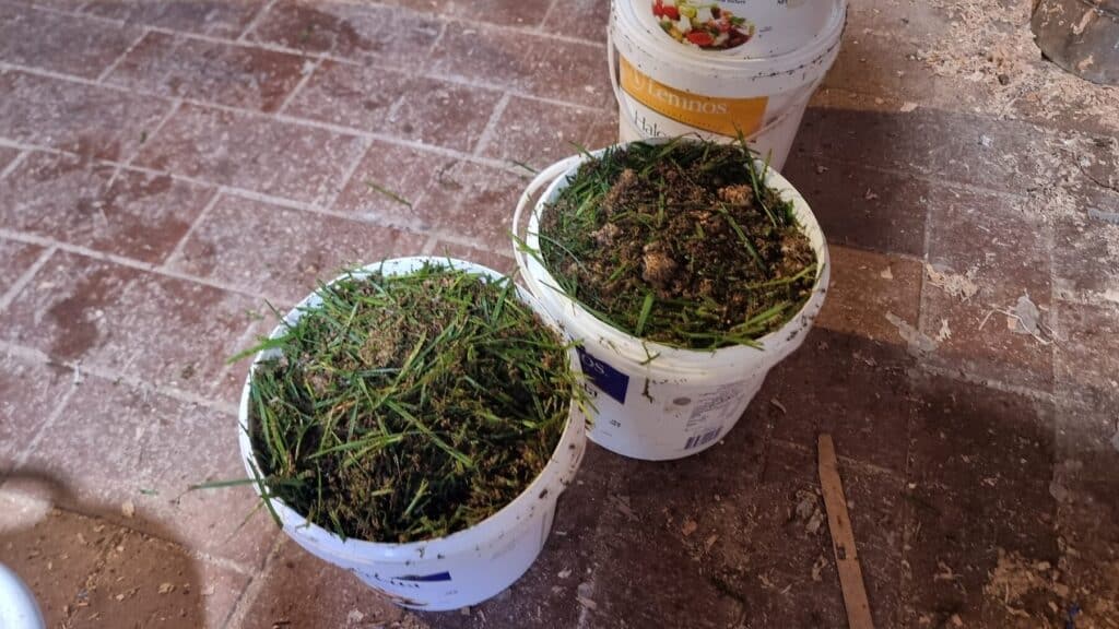 Freshly packed buckets of grass and spawn on a brick floor