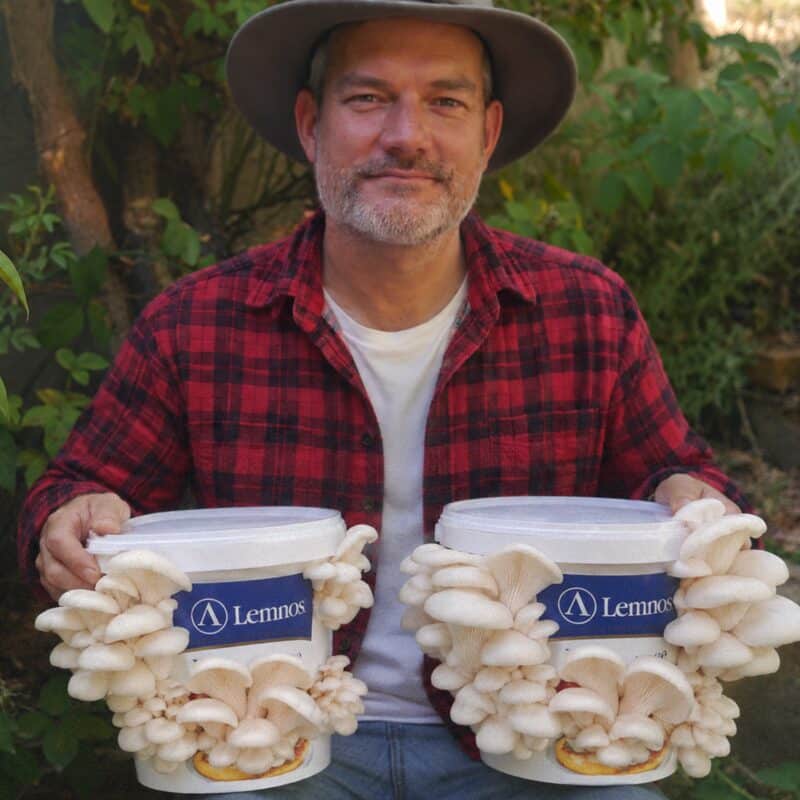 Nick Ritar in a red flannel shirt and a wide-brimmed hat, holding two white feta tubs covered in clusters of pearl oyster mushrooms