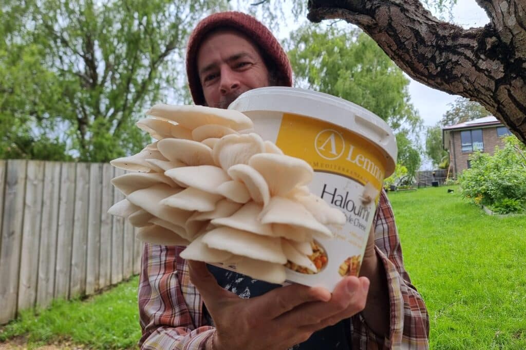 A man in a red beanie holding up a haloumi bucket covered in white oyster mushrooms